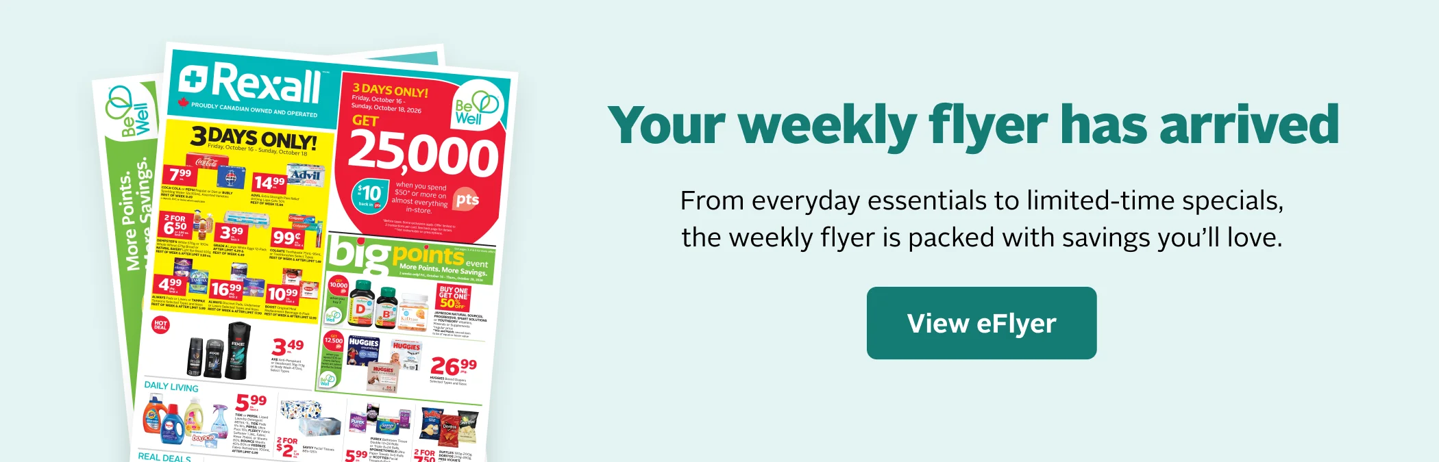 View eFlyer