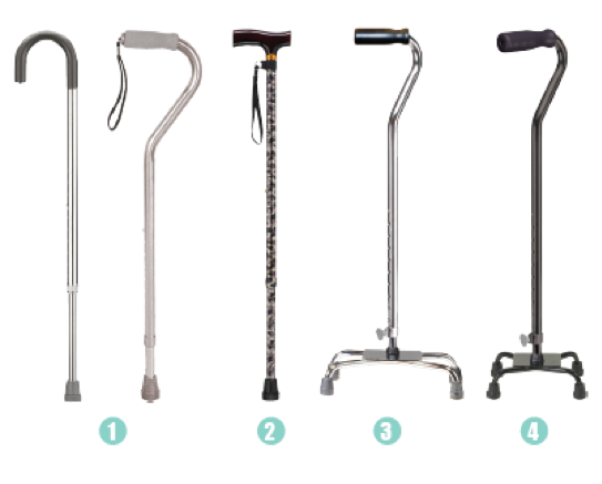 Types of canes